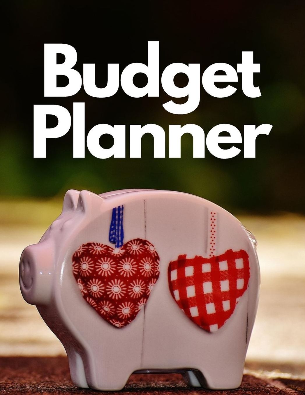 Budget Planner: Personal Finance Organizer Budget Planner Daily Monthly & Yearly Bodgeting Calendar for Expences Money Debt and Bills Tracker Undated