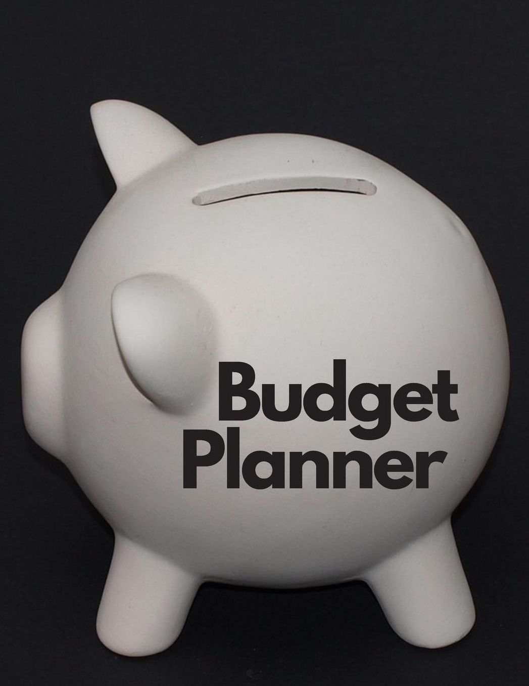 Budget Planner: Personal Finance Organizer Budget Planner Daily Monthly & Yearly Bodgeting Calendar for Expences Money Debt and Bills Tracker Undated