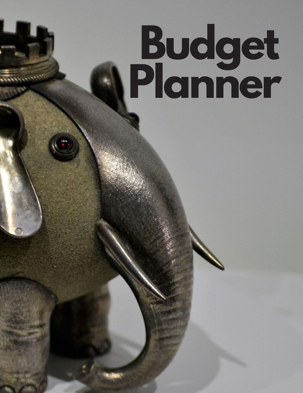 Budget Planner: Personal Finance Organizer Budget Planner Daily Monthly & Yearly Bodgeting Calendar for Expences Money Debt and Bills Tracker Undated