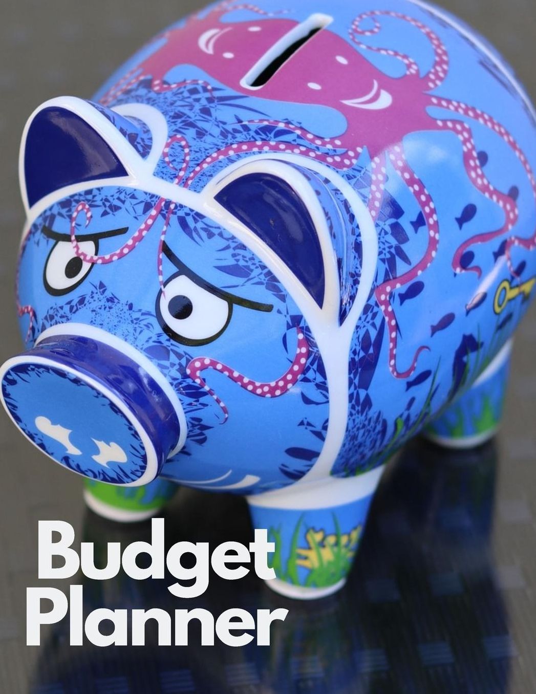 Budget Planner: Personal Finance Organizer Budget Planner Daily Monthly & Yearly Bodgeting Calendar for Expences Money Debt and Bills Tracker Undated