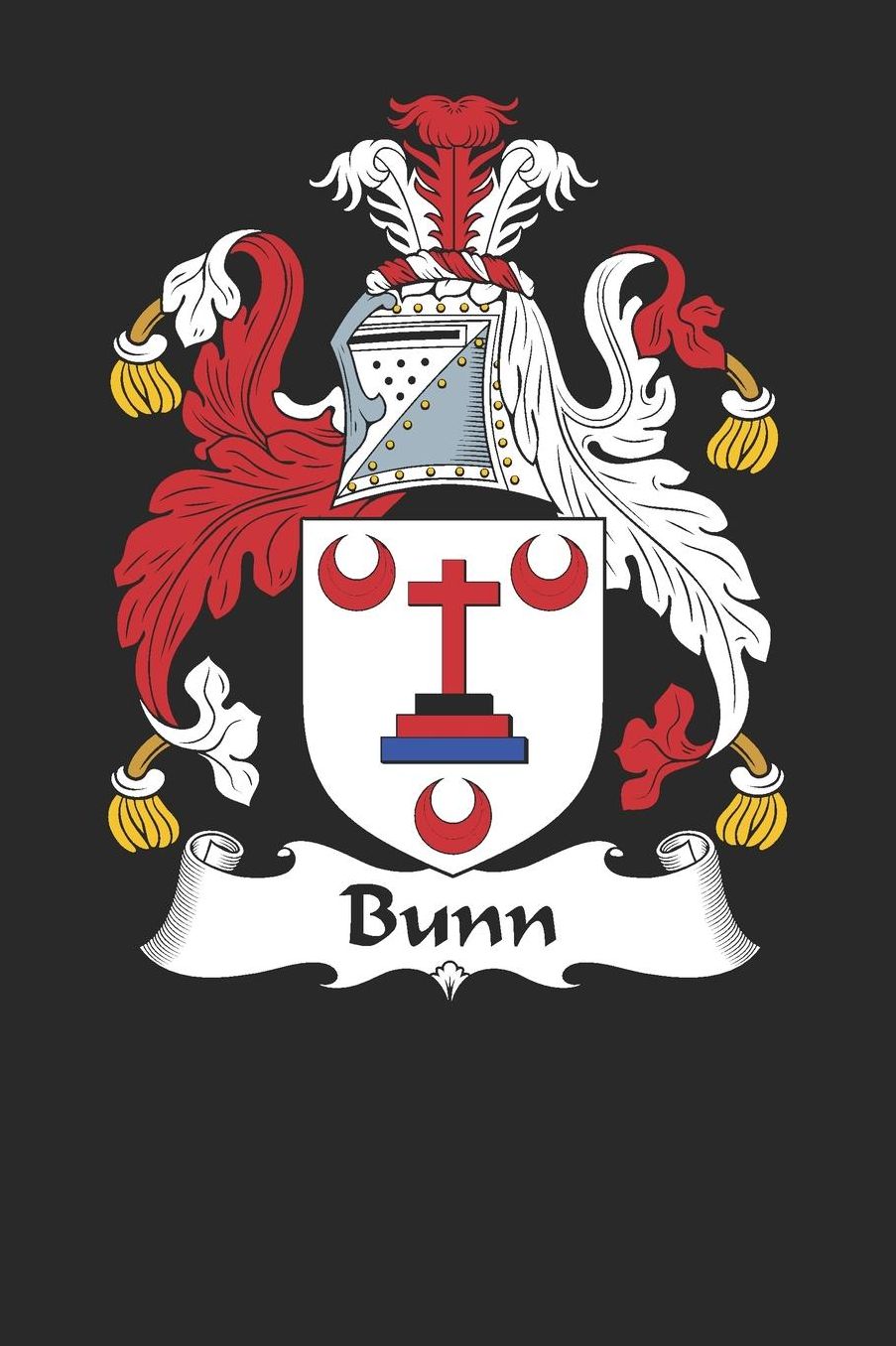 Bunn: Bunn Coat of Arms and Family Crest Notebook Journal (6 x 9 - 100 pages)