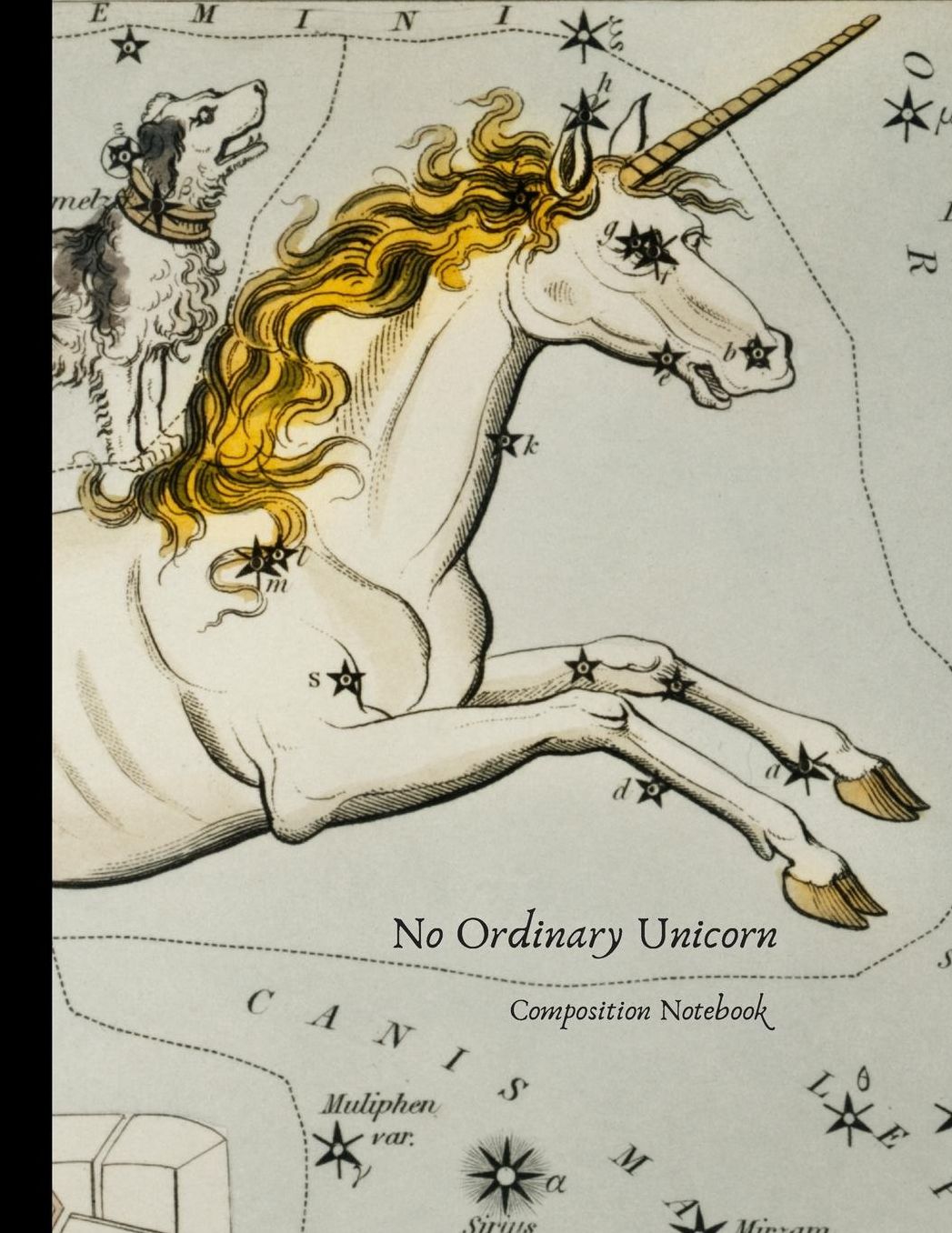 No Ordinary Unicorn: Large blank college ruled composition notebook