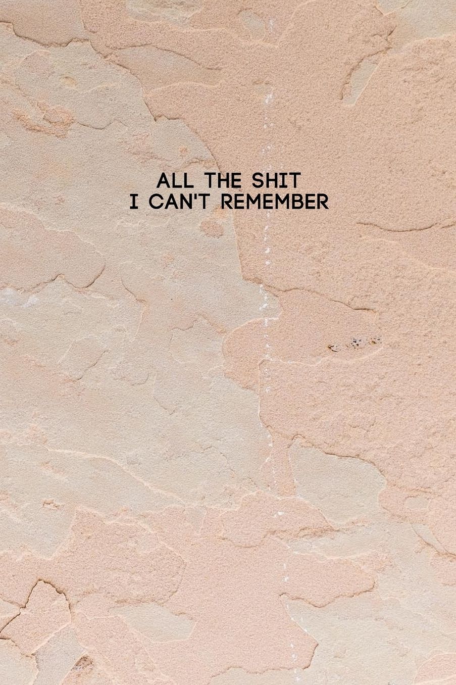 All the Shit I Can't Remember: Password Keeper and Finder Funny Notebook w/ Light Pink Color Paint on House Wall Texture Abstract Design Gift