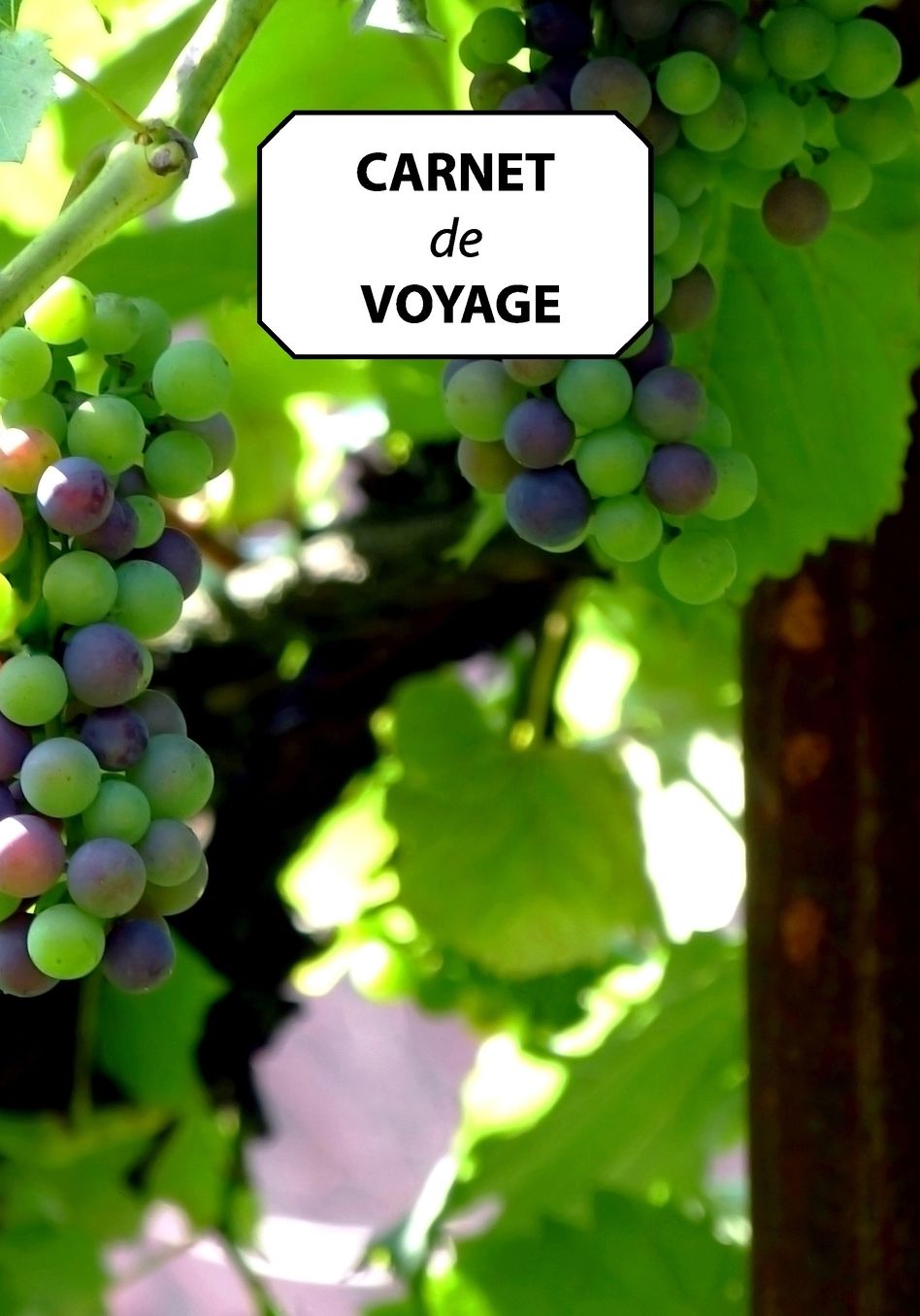 Carnet de Voyage: Journal, prise de notes, original & pratique de 110 pages lignï¿½es avec une couverture photo - Raisins Grappes - Vignes
