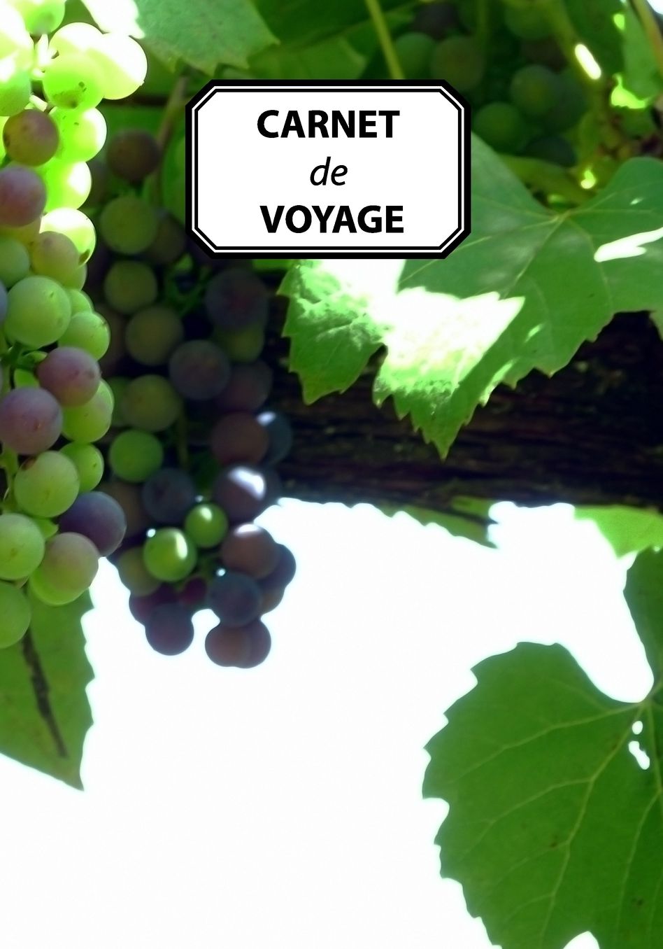 Carnet de Voyage: Journal, prise de notes, original & pratique de 110 pages lignï¿½es avec une couverture photo - Raisins - Grappes - Rï¿½coltes - Vigne