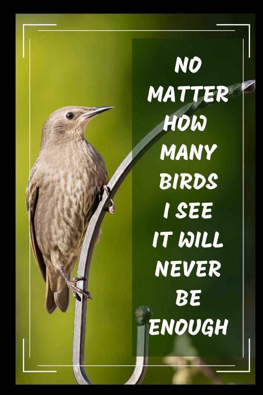 No Matter How Many Birds I See It Will Never Be Enough: Bird Watching Novelty Lined Notebook / Journal To Write In Perfect Gift Item (6 x 9 inches)