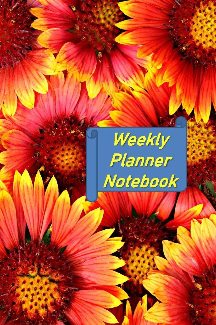 Weekly Planner Notebook: A Weekly Planner for 2020