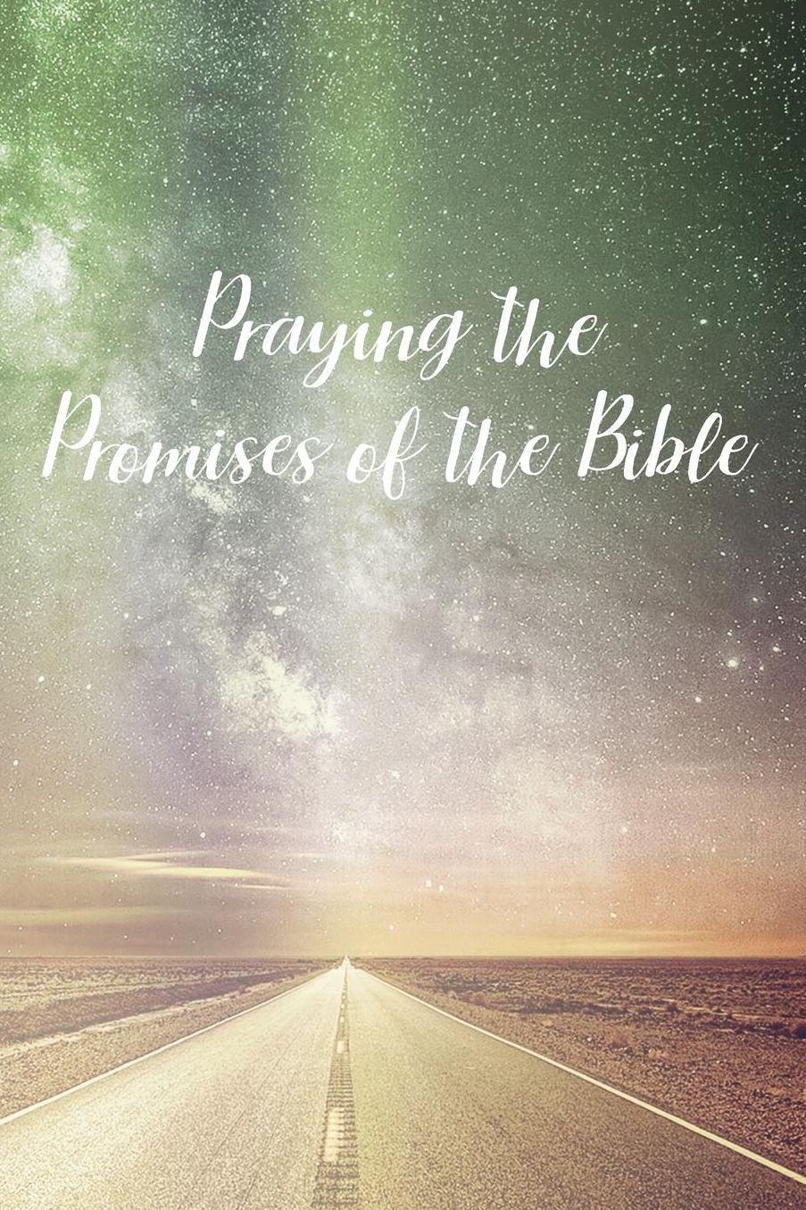 Praying the Promises of the Bible: Prayer Journal - a beautiful peaceful notebook cover with 120 blank, lined pages.