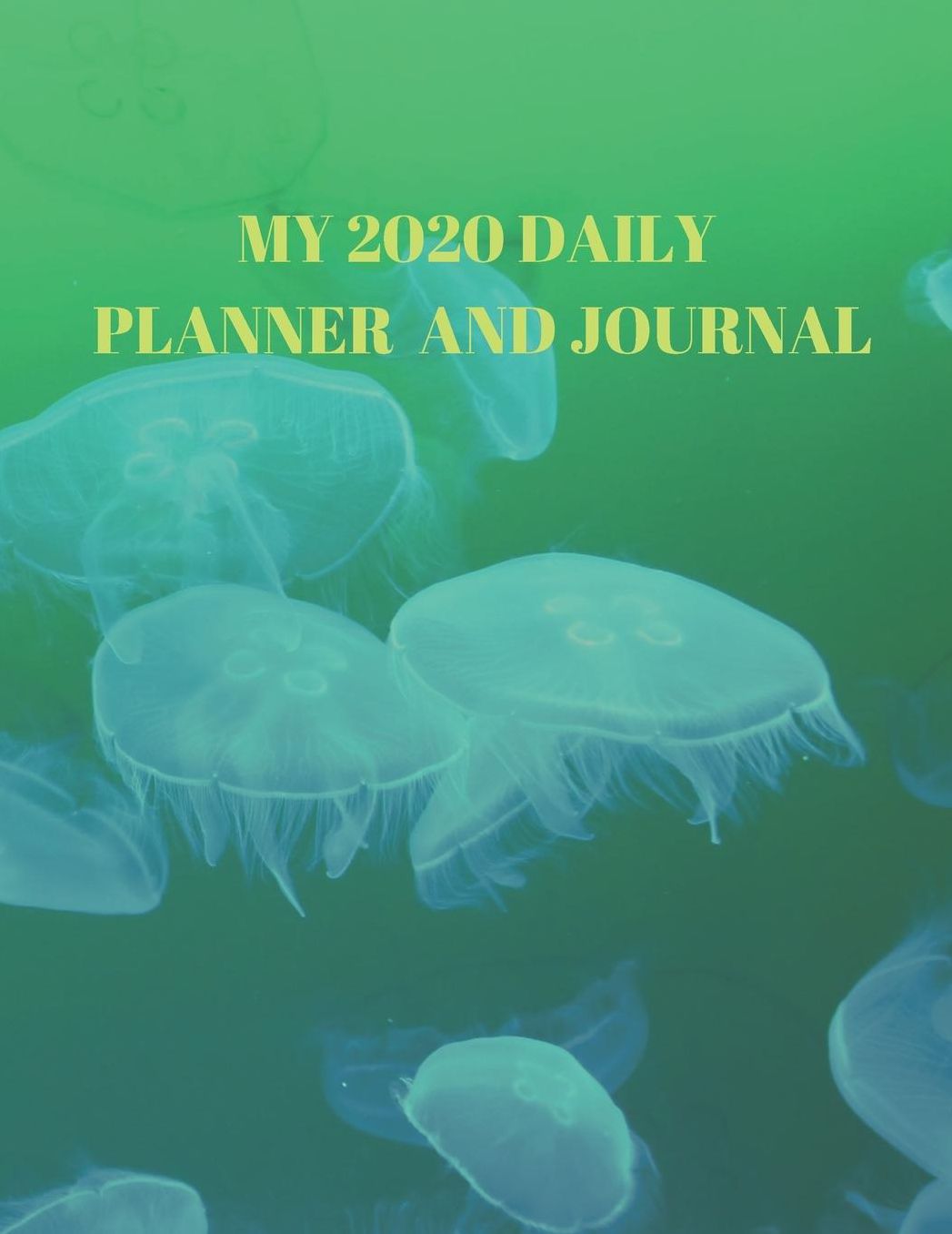 My 2020 Daily Planner and Journal: An easy to use carefully designed DAILY 2020 PLANNER AND JOURNAL setup with 2 pages per week divided into 7 day areas and a longer note frame to fill with for your greatest thoughts and plans!