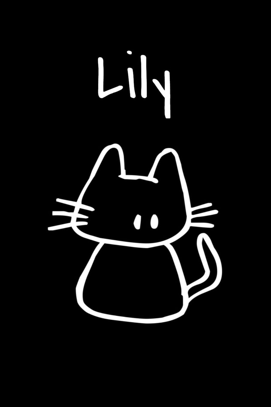Lily: Composition Notebook Plain College Ruled Wide Lined 6 x 9 Journal Cute Meow Funny Kawaii Family Gifts for Cat Lover's Organizer Record Log Passwords Address Book Appointments & Diary Students Back to School Teens Kids Workbook for Writing Notes