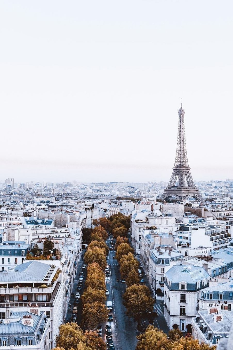 Paris in my Dreams Journal: 150 Page Lined Notebook/Diary
