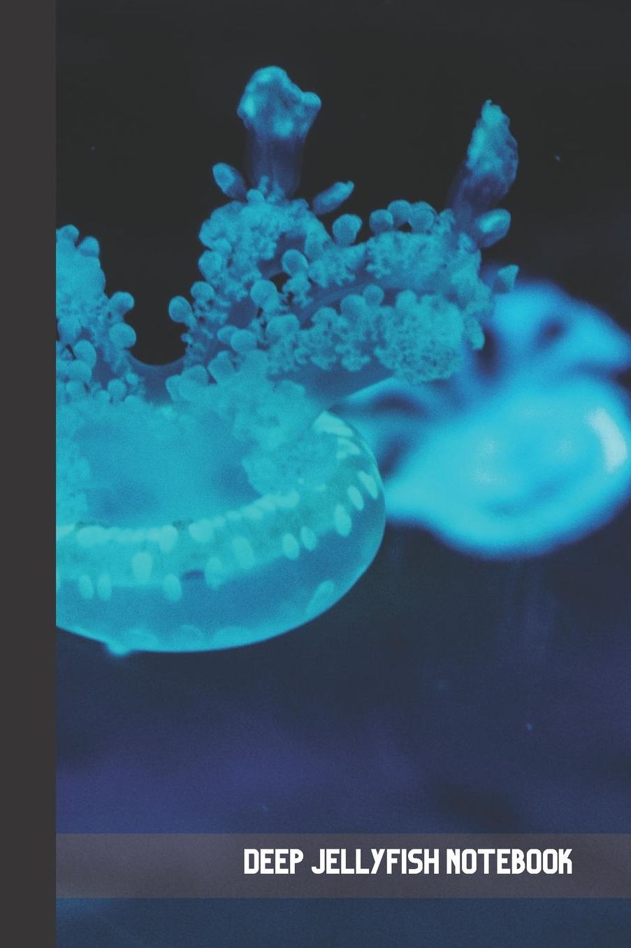 Deep Jellyfish Notebook: small lined Jellyfish Notebook / Travel Journal to write in (6'' x 9'') 120 pages