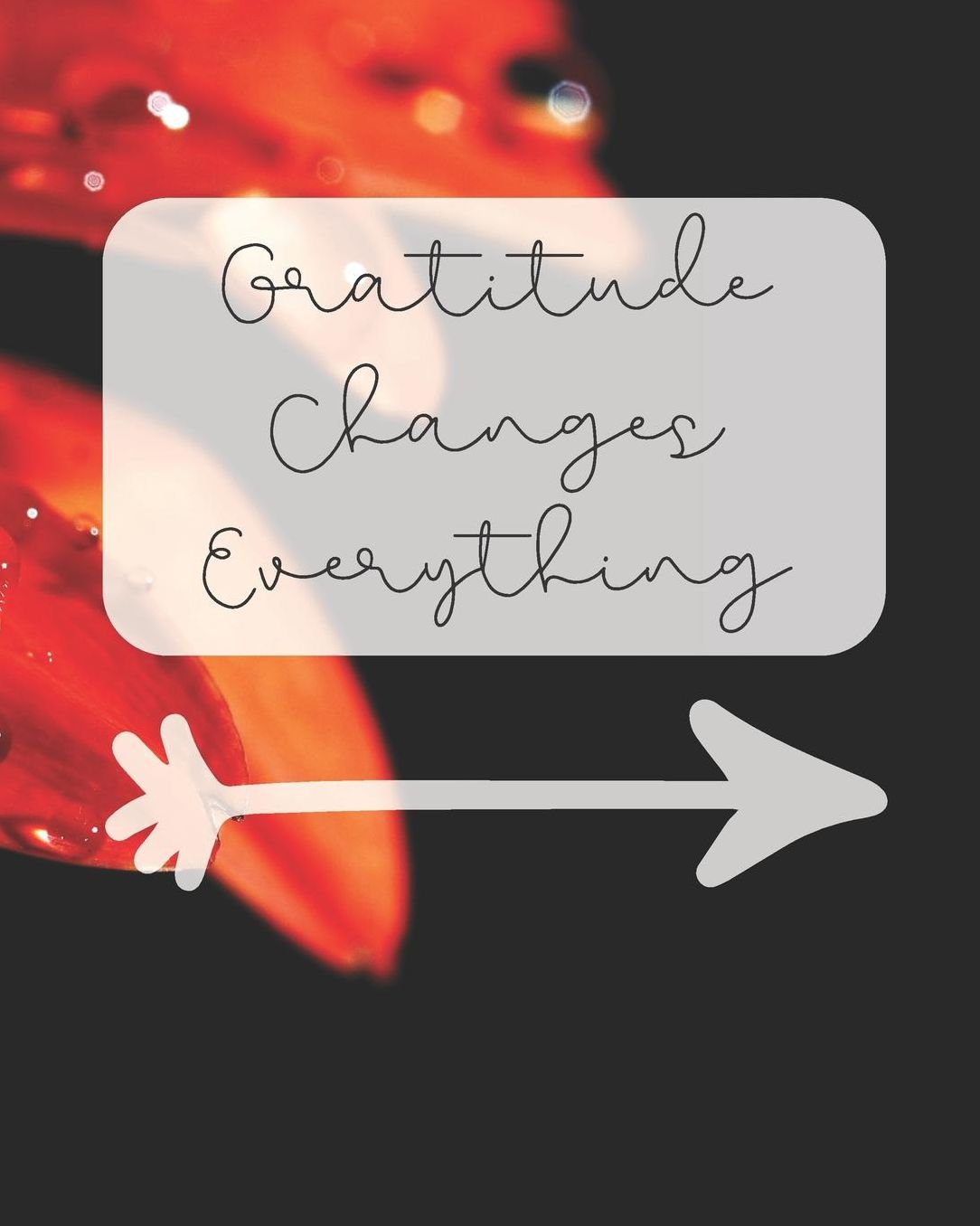Gratitude Changes Everything: Gratitude Journal / Notebook / Diary Gift with Daily Affirmations, Prompts, Goals, and Journaling