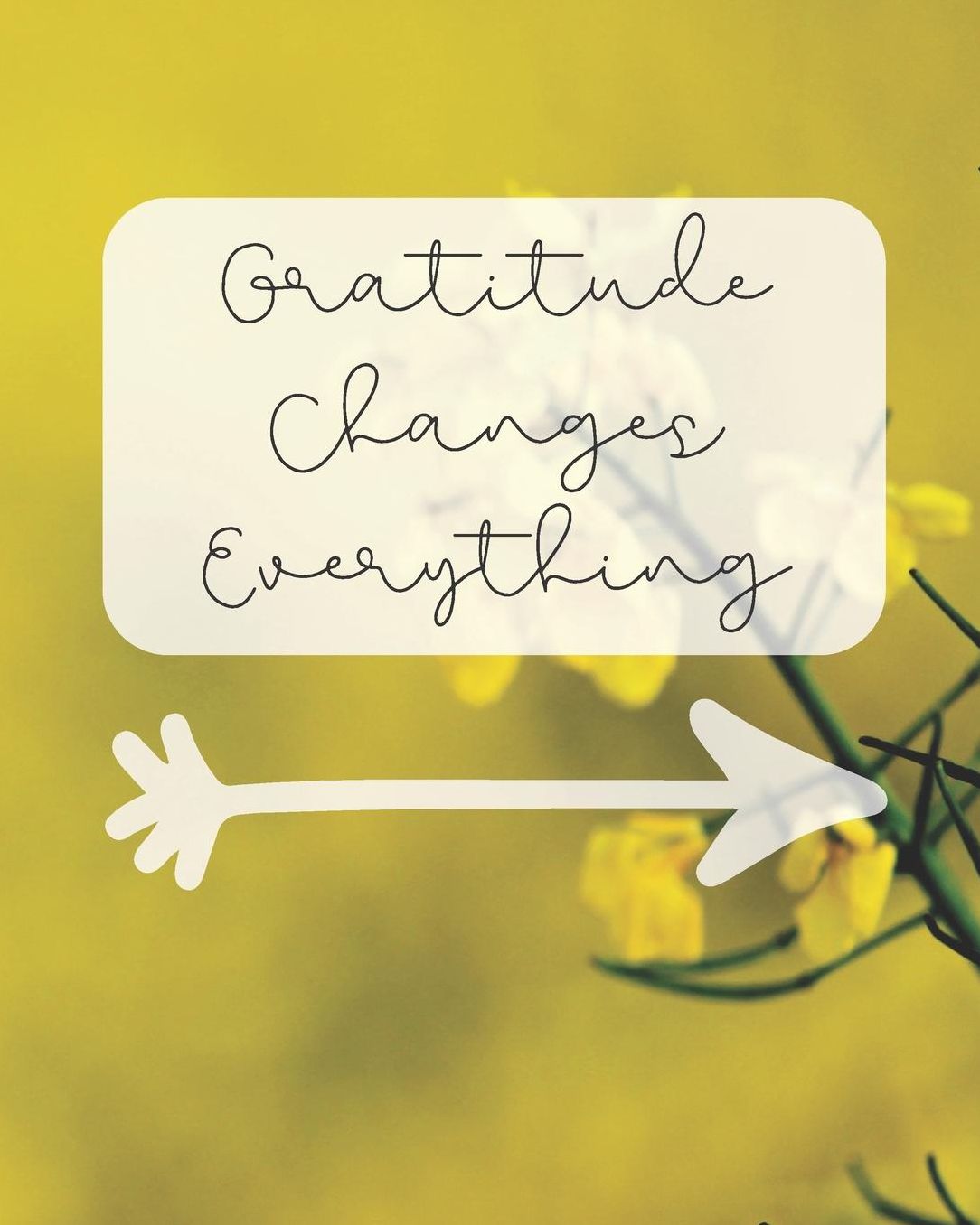 Gratitude Changes Everything: Gratitude Journal / Notebook / Diary Gift with Daily Affirmations, Prompts, Goals, and Journaling