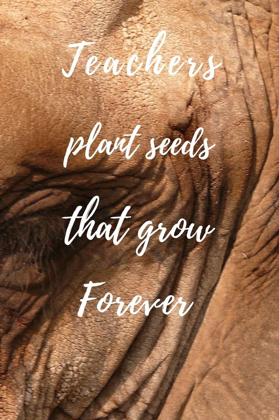 Teachers Plant Seeds That Grow Forever: Teachers Wonderfull Gift Journal blank Lined 6 x 9 110 Pages Cream Paper Notebook, Dairy