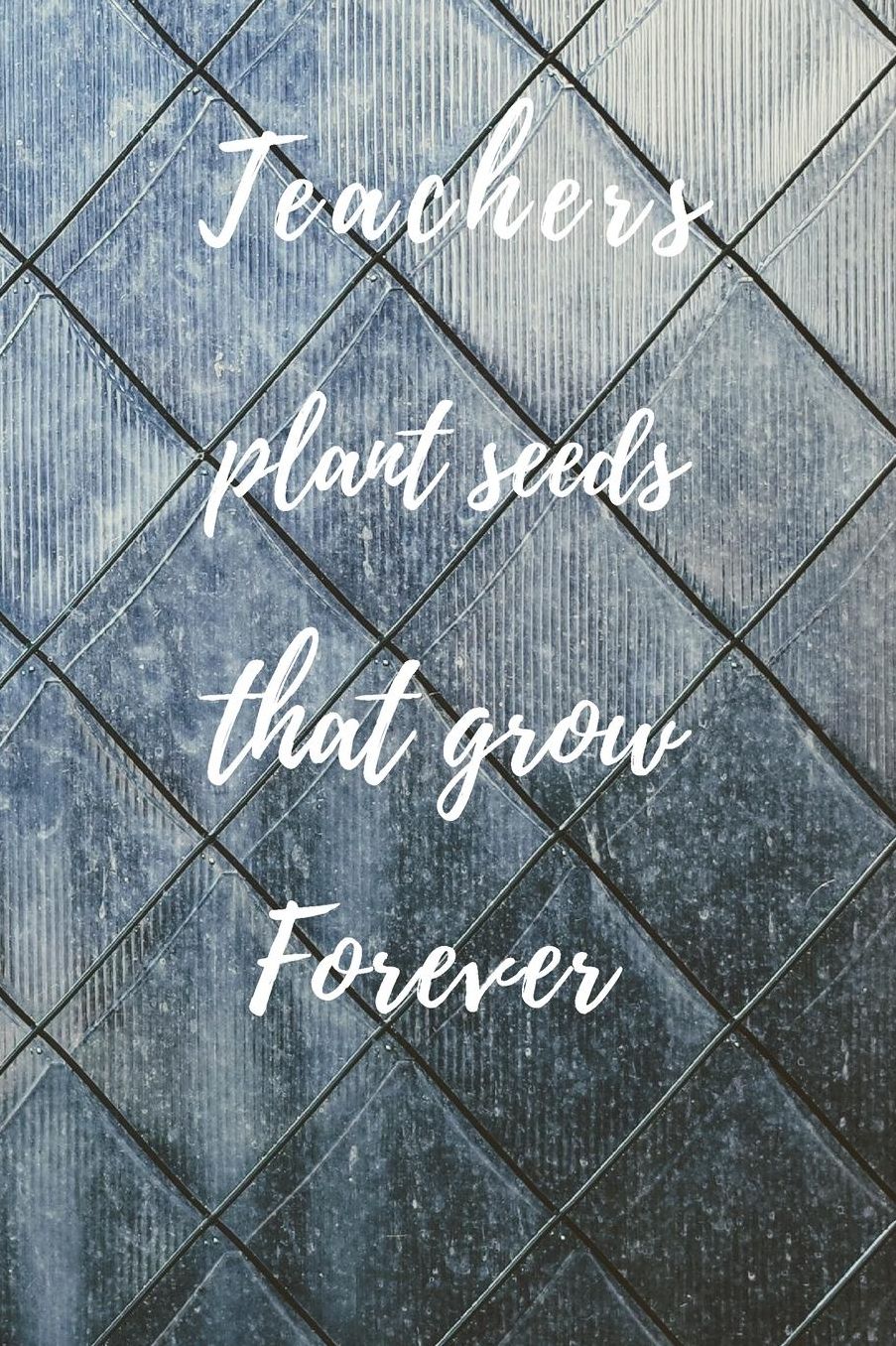 Teachers Plant Seeds That Grow Forever: Teachers Wonderfull Gift Journal blank Lined 6 x 9 110 Pages Cream Paper Notebook, Dairy