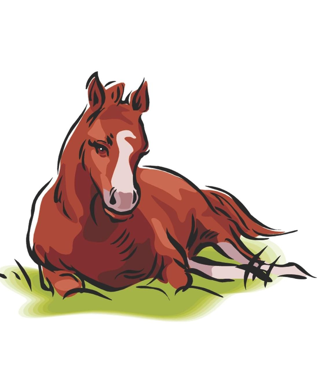 Horse Illustration School Composition Book Equine Resting Foal: Horse Picture Equine Covers Composition Books Notebooks (Notebook, Diary, Blank Book)