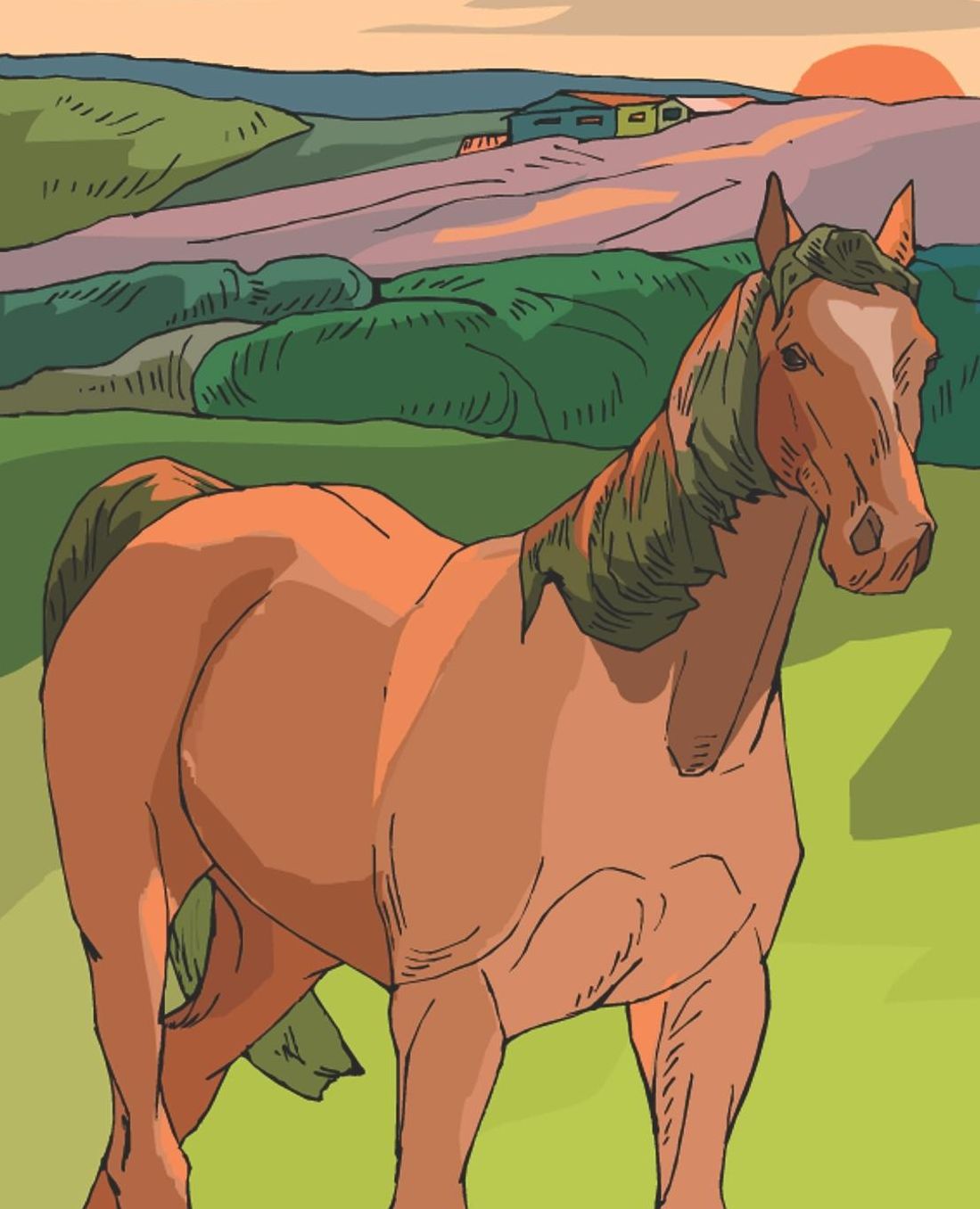 Horse Illustration School Composition Book Equine Sunset Horse Scene: Horse Picture Equine Covers Composition Books Notebooks (Notebook, Diary, Blank Book)