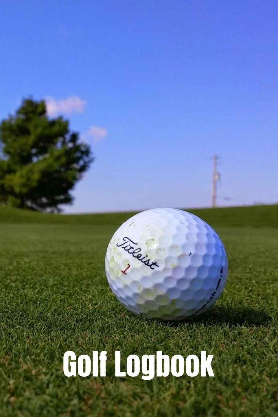 Golf Logbook: Journal and notebook for golfers with space for Game Scores, Golfers Performance Tracking, Golf Statistics Log, Event Stats