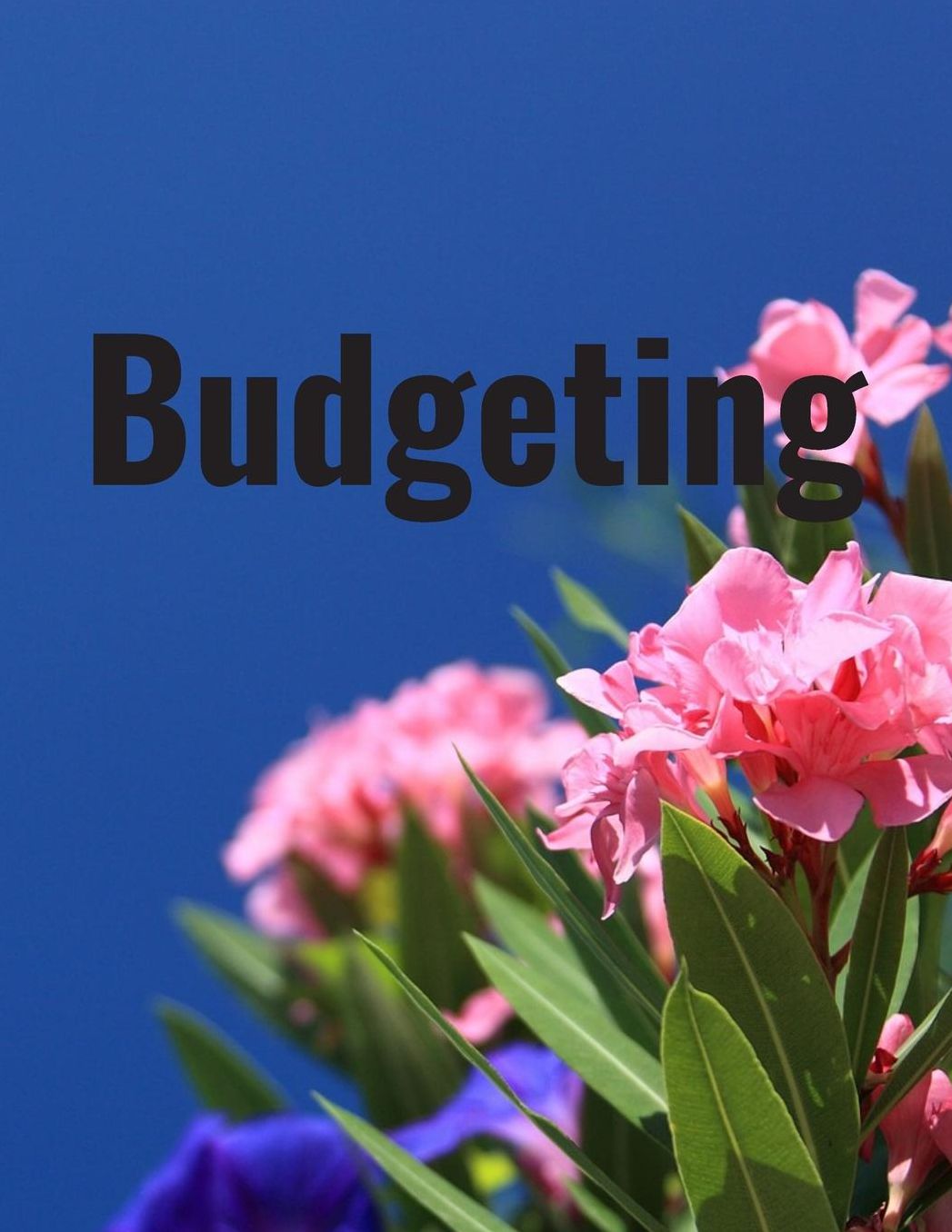 Budgeting: Personal Finance Organizer Budget Planner Daily Monthly & Yearly Budgeting Calendar for Expences Money Debt and Bills Tracker Undated