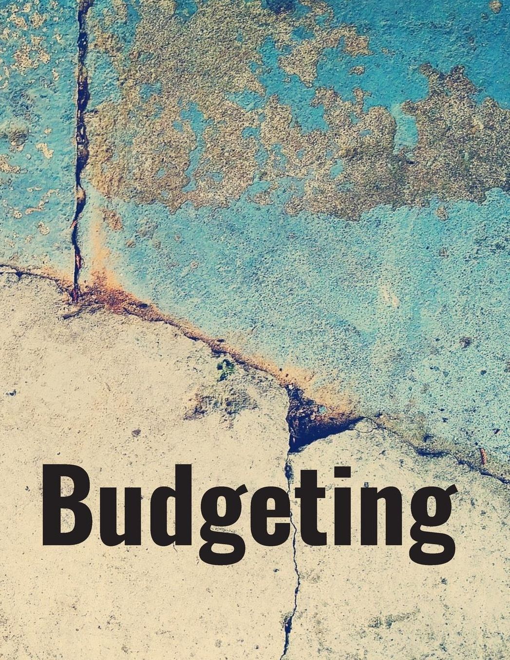 Budgeting: Personal Finance Organizer Budget Planner Daily Monthly & Yearly Budgeting Calendar for Expences Money Debt and Bills Tracker Undated