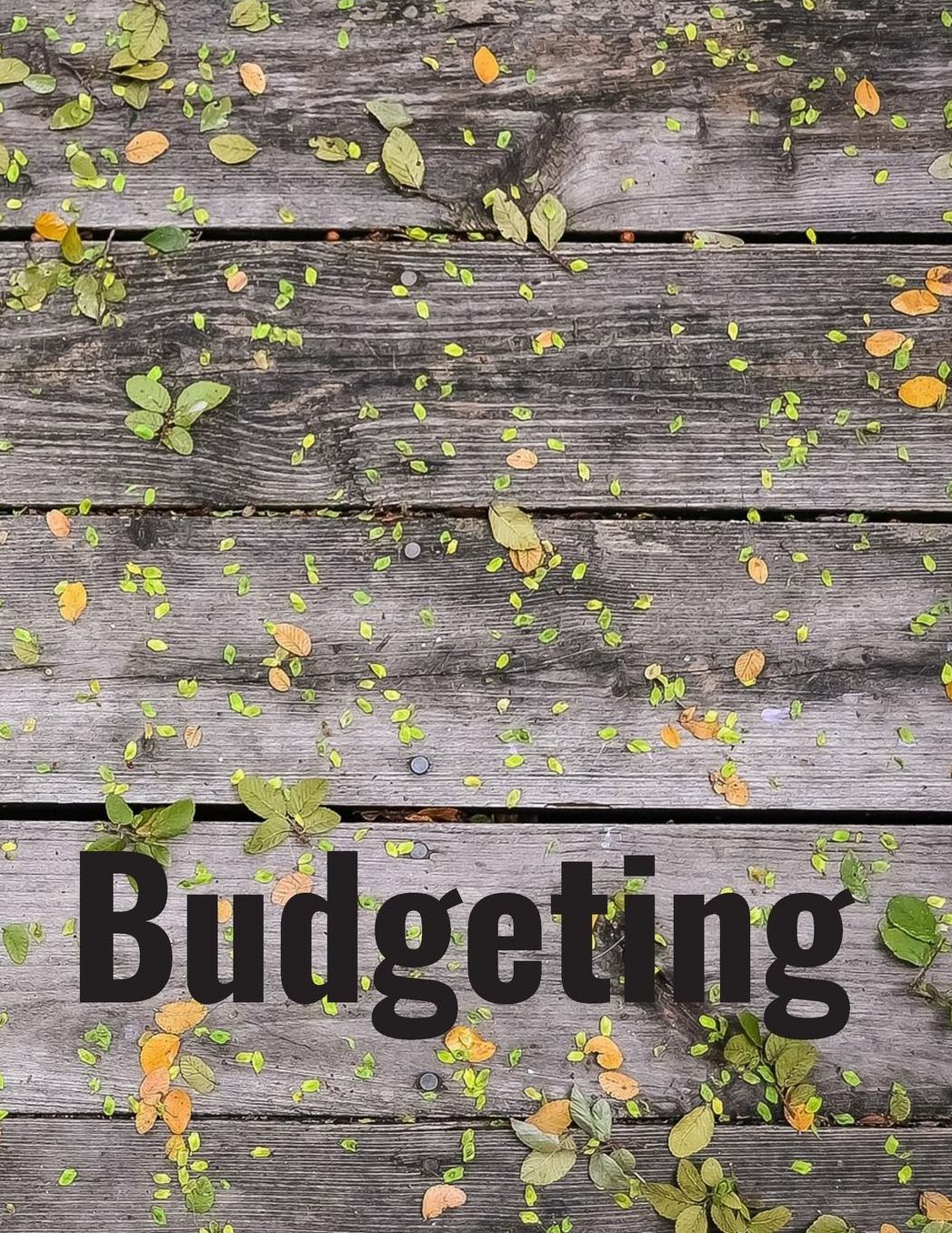 Budgeting: Personal Finance Organizer Budget Planner Daily Monthly & Yearly Budgeting Calendar for Expences Money Debt and Bills Tracker Undated