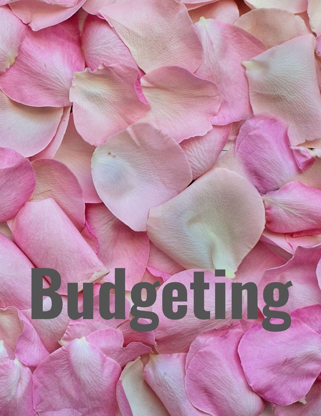 Budgeting: Personal Finance Organizer Budget Planner Daily Monthly & Yearly Budgeting Calendar for Expences Money Debt and Bills Tracker Undated