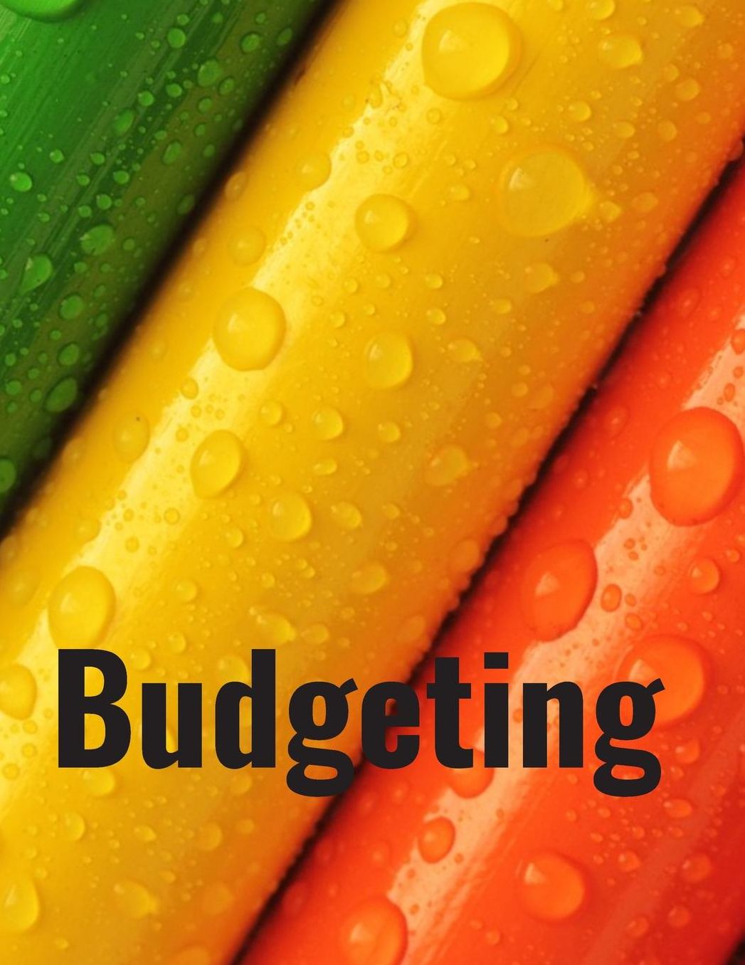 Budgeting: Personal Finance Organizer Budget Planner Daily Monthly & Yearly Budgeting Calendar for Expences Money Debt and Bills Tracker Undated
