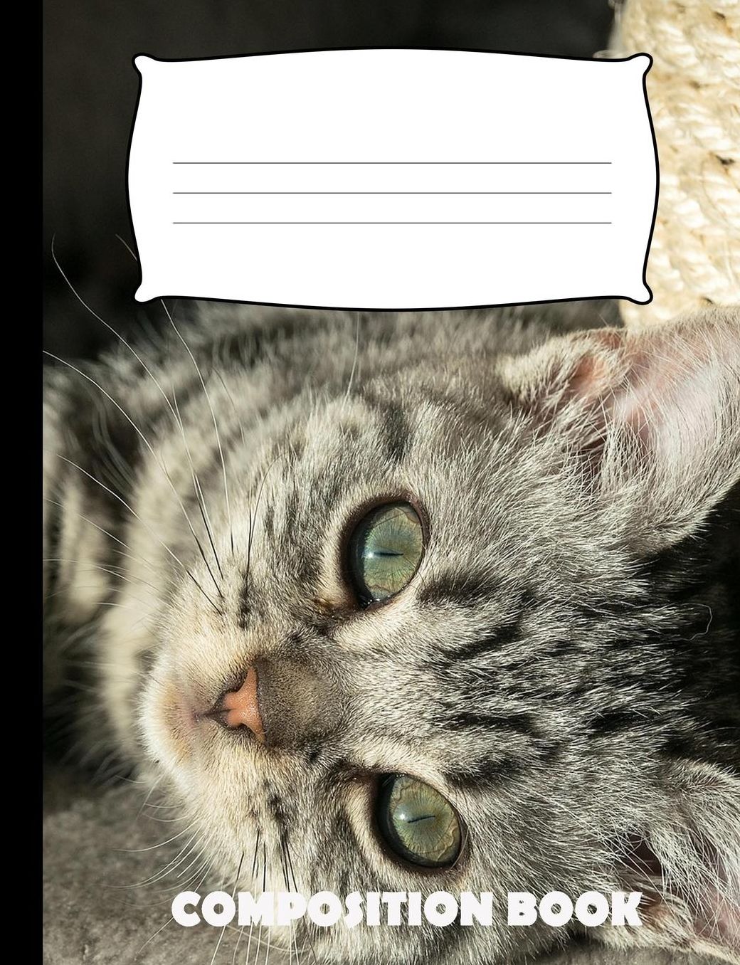 Composition Book: Kitten Composition Notebook Wide Ruled