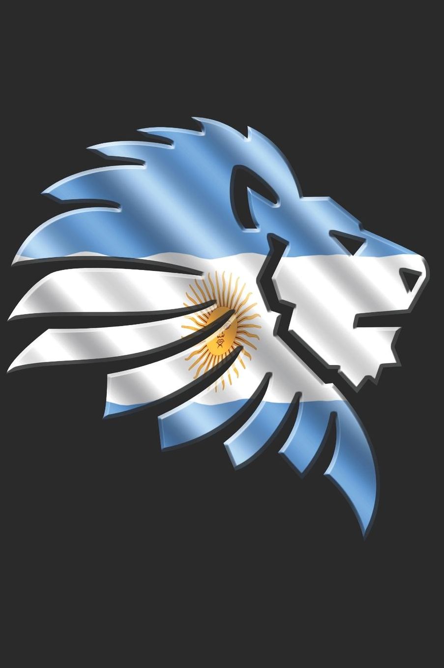 Argentina Notebook: Argentina Flag Notebook, Travel Journal to write in, College Ruled Journey Diary
