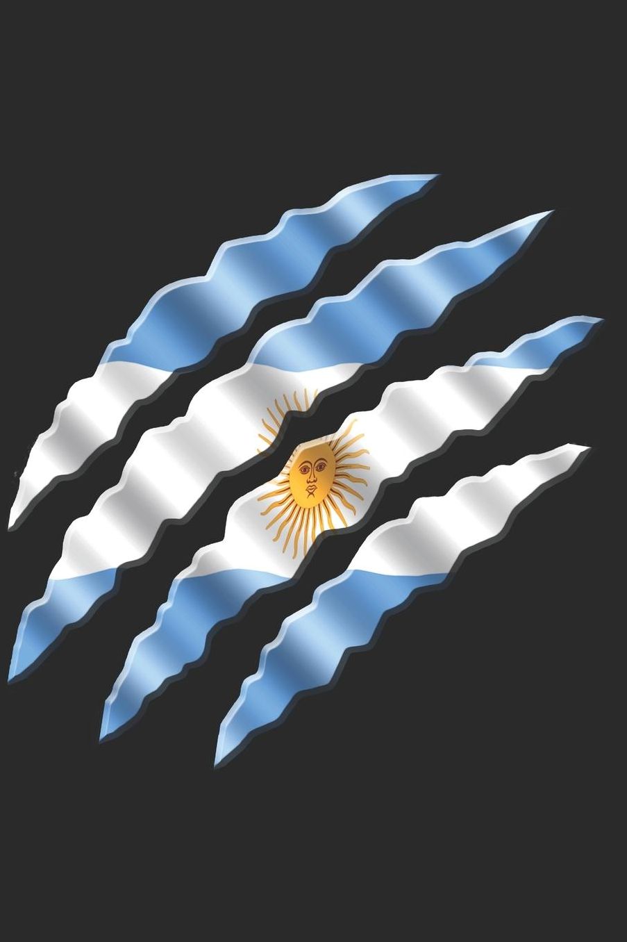 Argentina Notebook: Argentina Flag Notebook, Travel Journal to write in, College Ruled Journey Diary