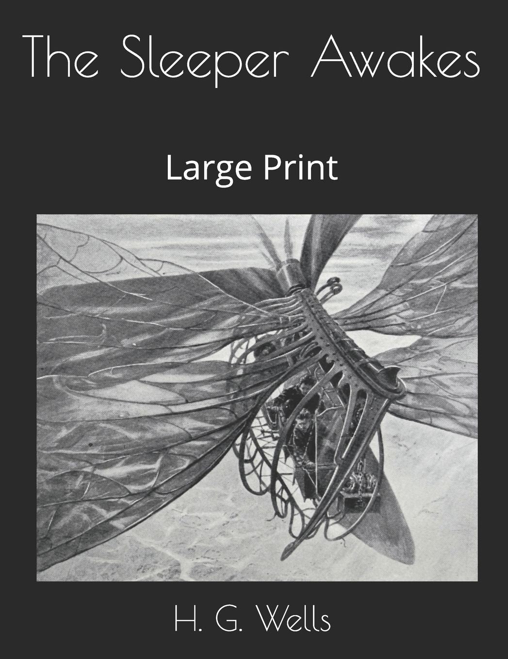 The Sleeper Awakes: Large Print