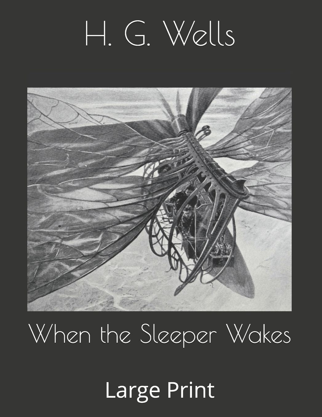 When the Sleeper Wakes: Large Print