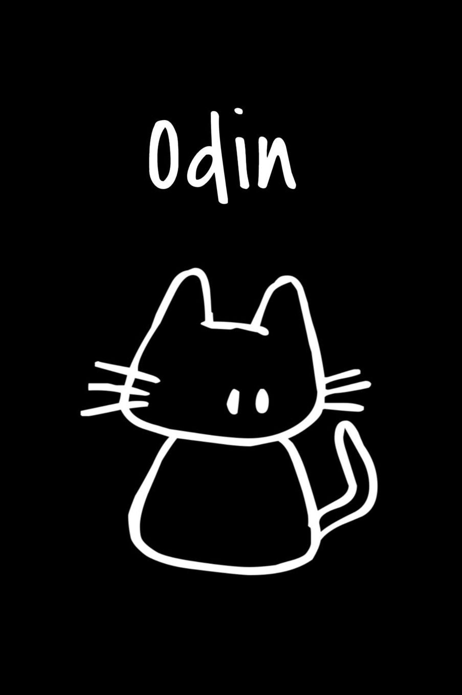 Odin: Composition Notebook Plain College Ruled Wide Lined 6 x 9 Journal Cute Meow Funny Kawaii Gifts for Cat Lover's Organizer Record Log Passwords Address Book Appointments & Diary Students Back to School Teens Kids Workbook for Writing Notes