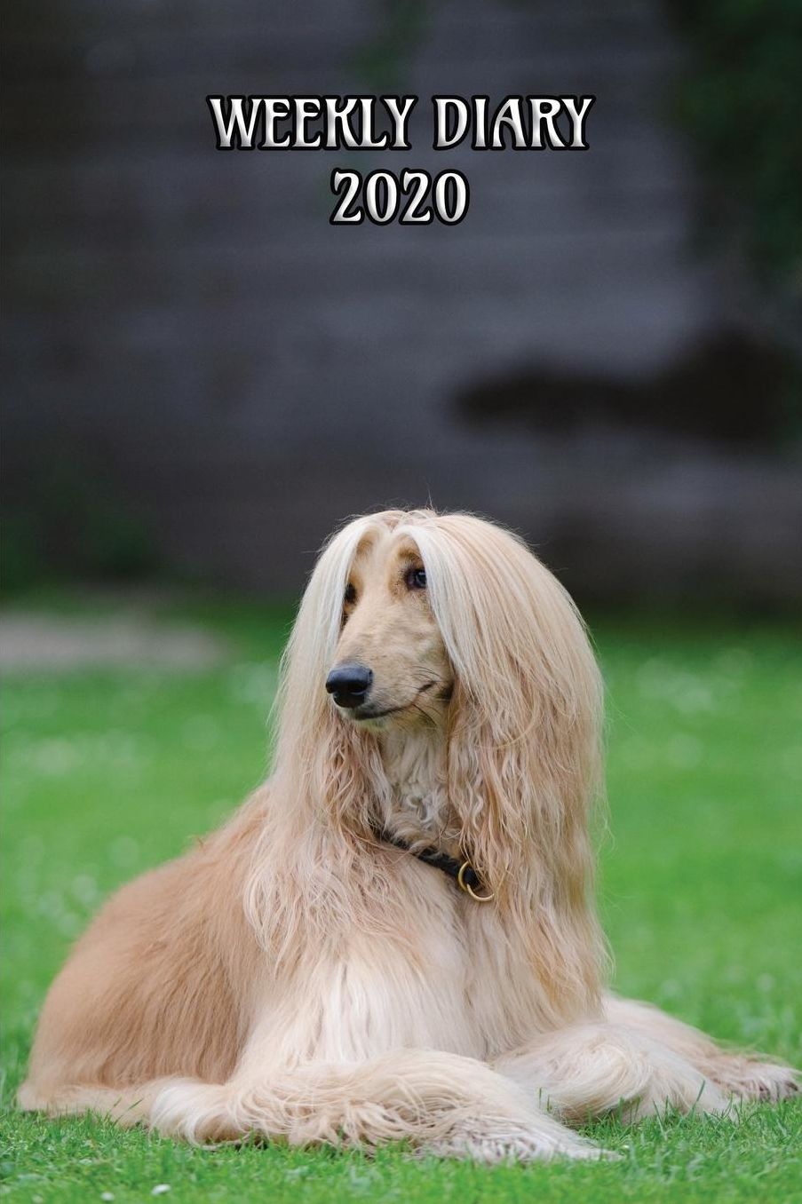 Weekly Diary 2020: Weekly Planner with added extras in the Diary - Afghan Dog Cover