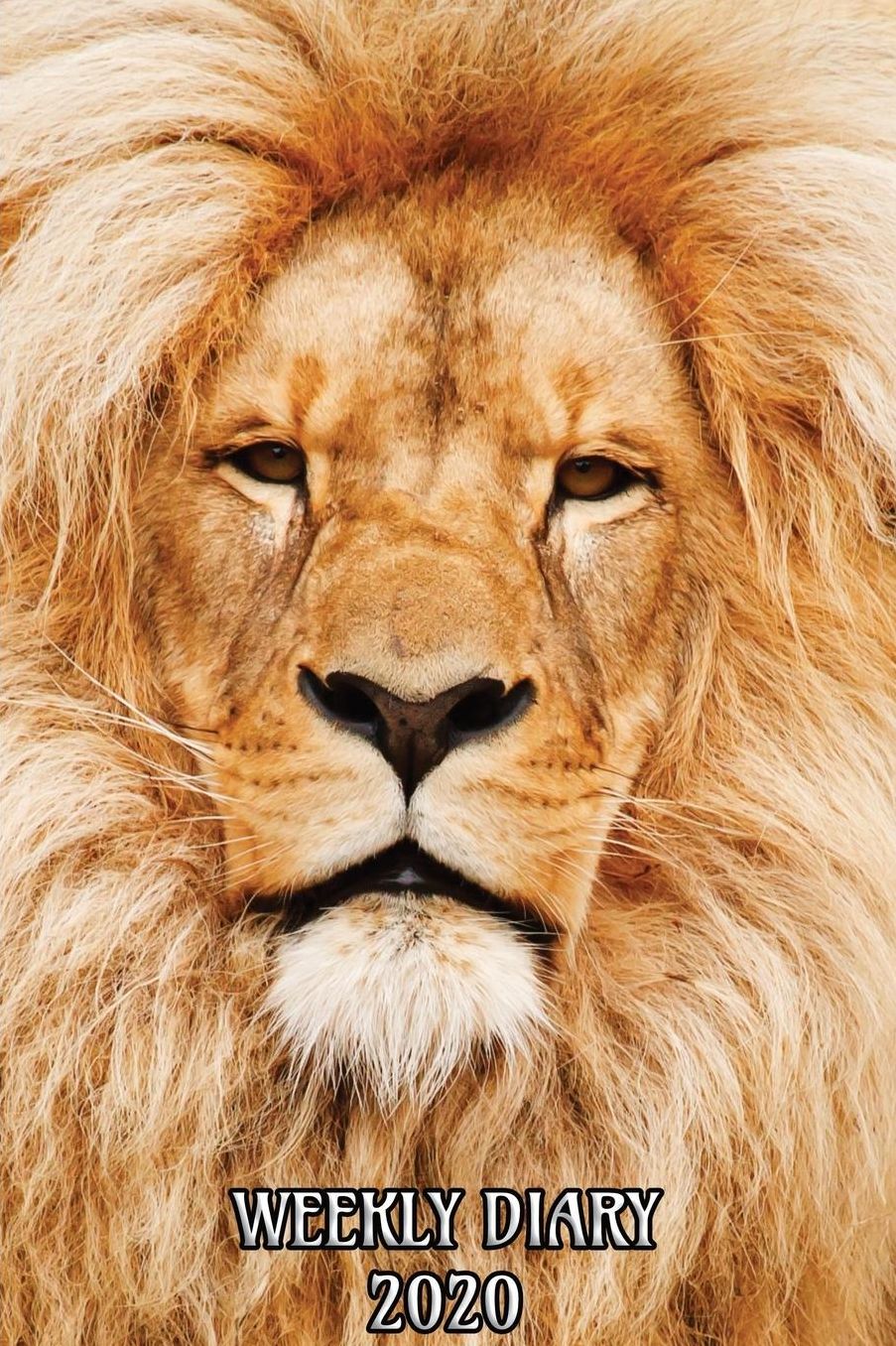 Weekly Diary 2020: Weekly Planner with added extras in the Diary - Lion Cover