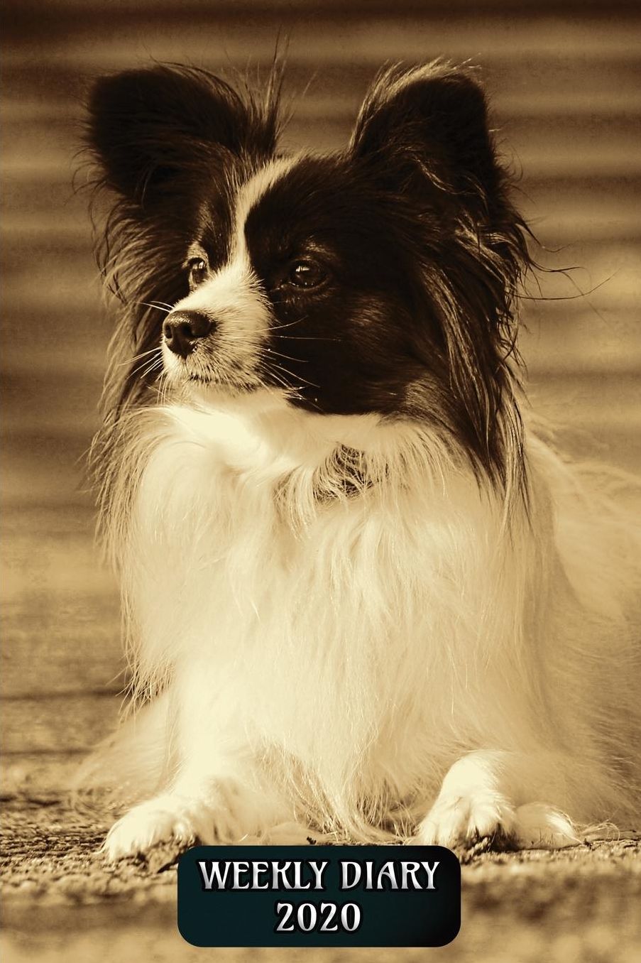 Weekly Diary 2020: Weekly Planner with added extras in the Diary - Papillion Dog Cover