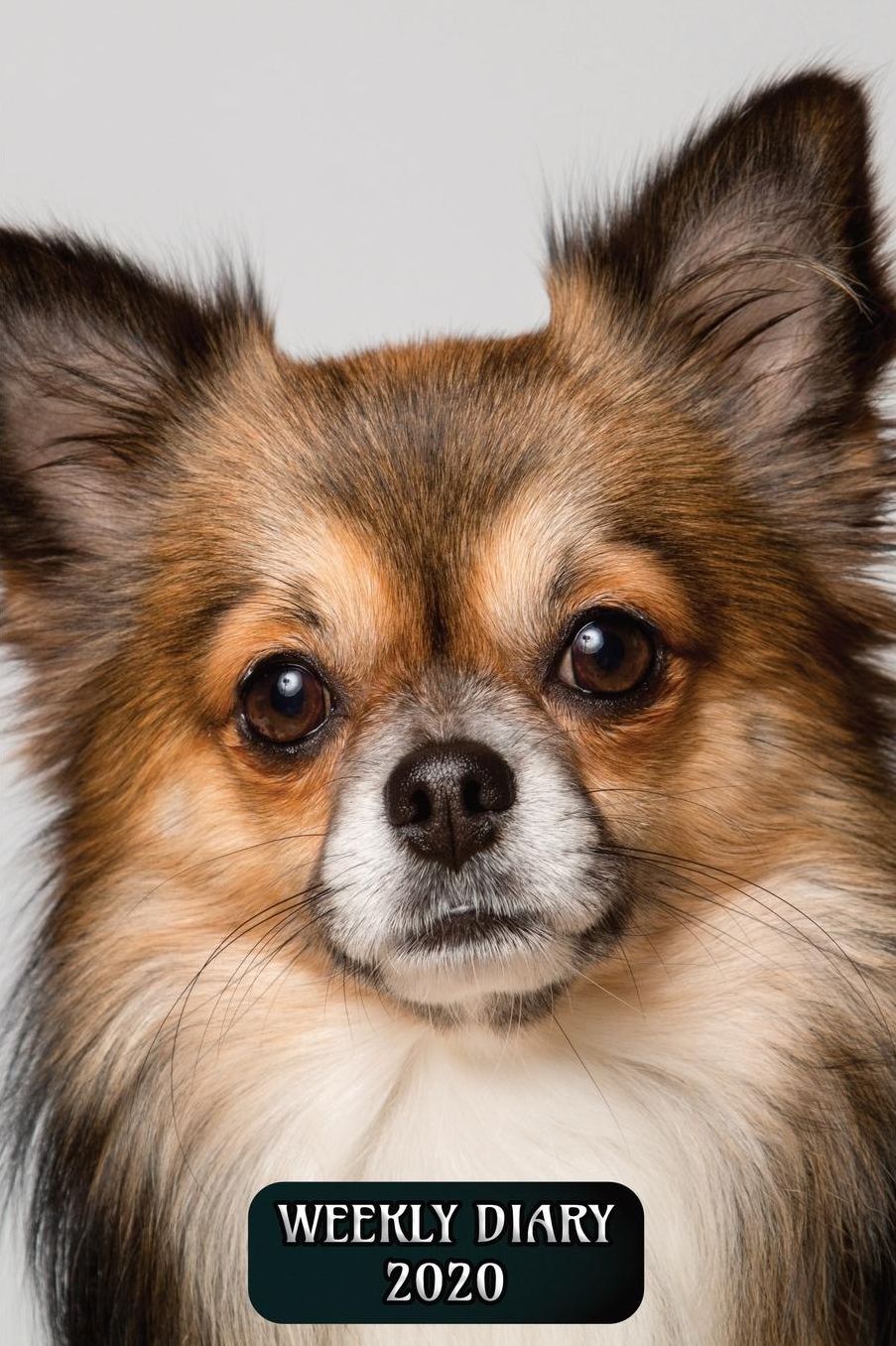 Weekly Diary 2020: Weekly Planner with added extras in the Diary - Chihuahua Dog Cover