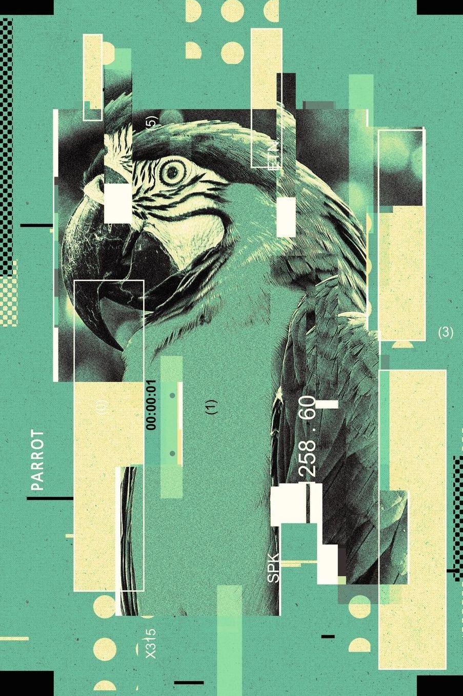 Parrot: Bird Psittacoidea Cacatuoidea Strigopoidea Bullet Journal Dot Grid BuJo Daily Planner
