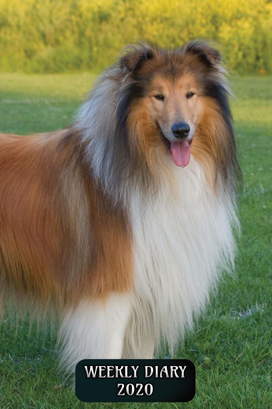 Weekly Diary 2020: Weekly Planner with added extras in the Diary - Rough Collie Dog Cover