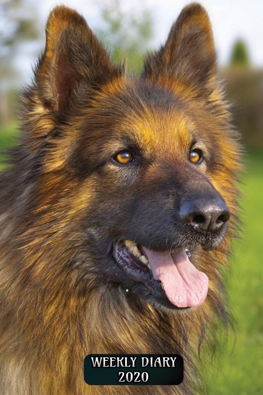Weekly Diary 2020: Weekly Planner with added extras in the Diary - Alsation German Shepherd Dog Cover