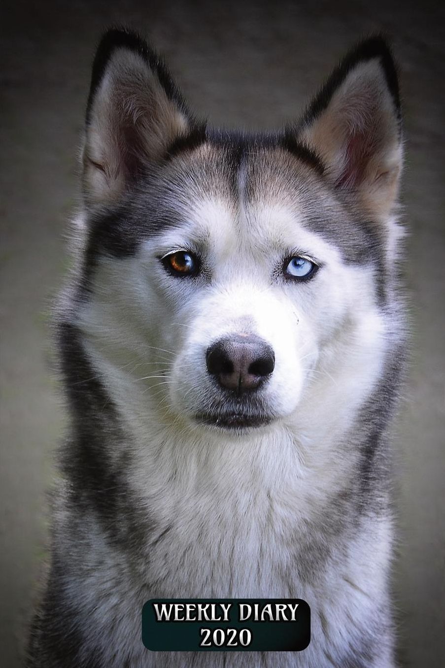 Weekly Diary 2020: Weekly Planner with added extras in the Diary - Siberian Husky Dog Cover