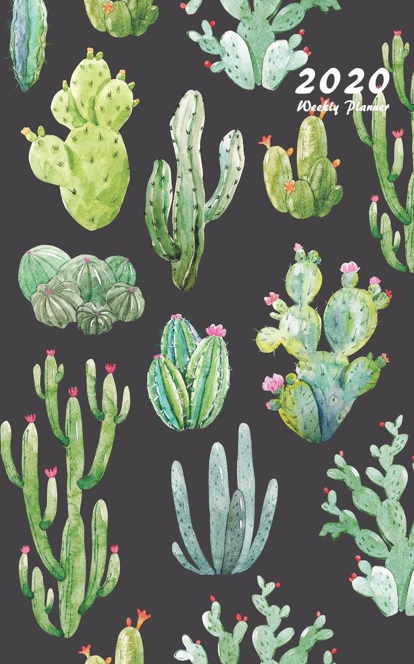 2020 Weekly Planner: Small 2020 Planner Weekly with Cactus Cover