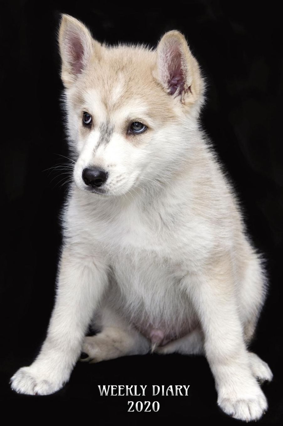Weekly Diary 2020: Weekly Planner with added extras in the Diary - Young Husky Puppy Dog Cover