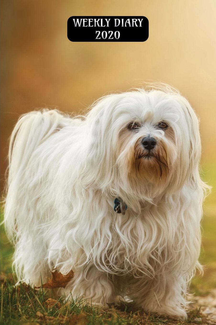 Weekly Diary 2020: Weekly Planner with added extras in the Diary - Maltese Terrier Dog Cover