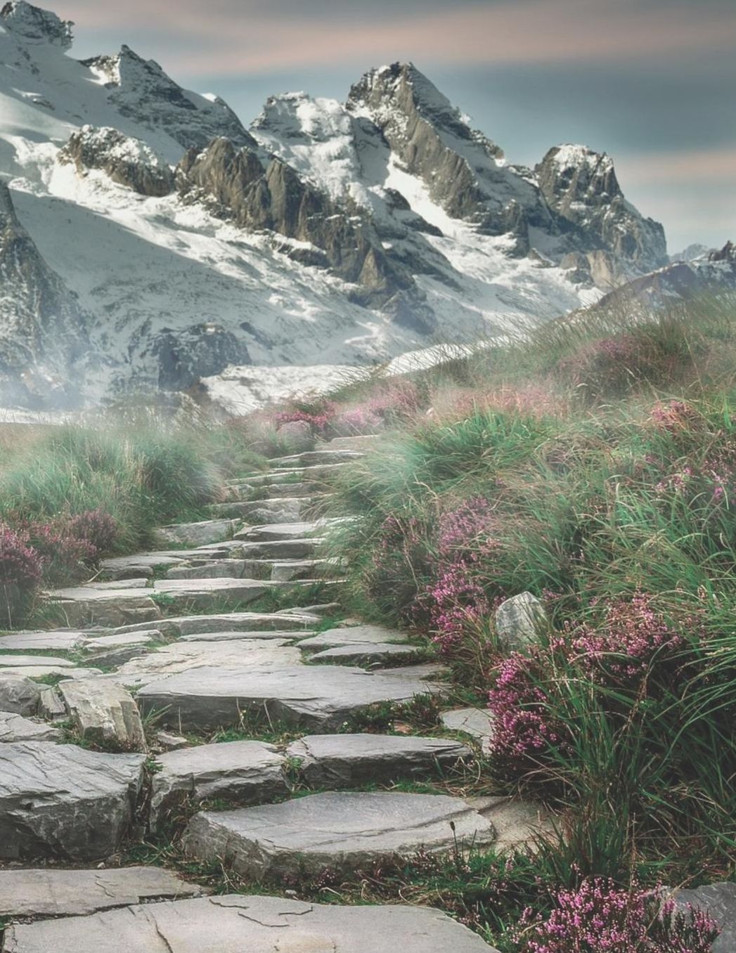 Mein Gipfellogbuch: Das Bergtouren Tagebuch zum selber ausfï¿½llen ♦ Wandertagebuch fï¿½r die schï¿½nsten Wanderungen, Aussichten und Erinnerungen ♦ A4+ Format ♦ Motiv: Steintreppe