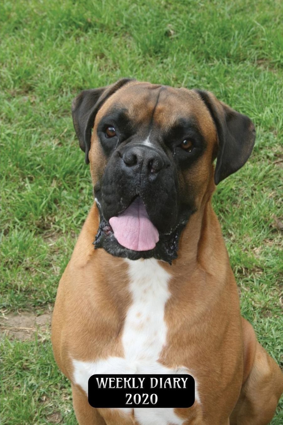Weekly Diary 2020: Weekly Planner with added extras in the Diary - Boxer Dog Cover