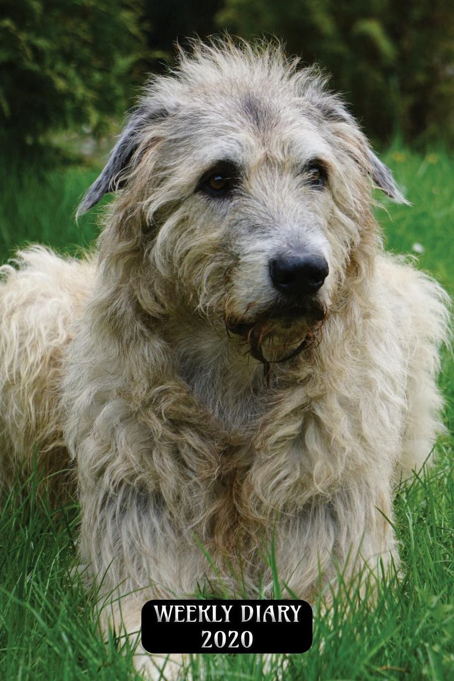 Weekly Diary 2020: Weekly Planner with added extras in the Diary - Irish Wolfhound Dog Cover