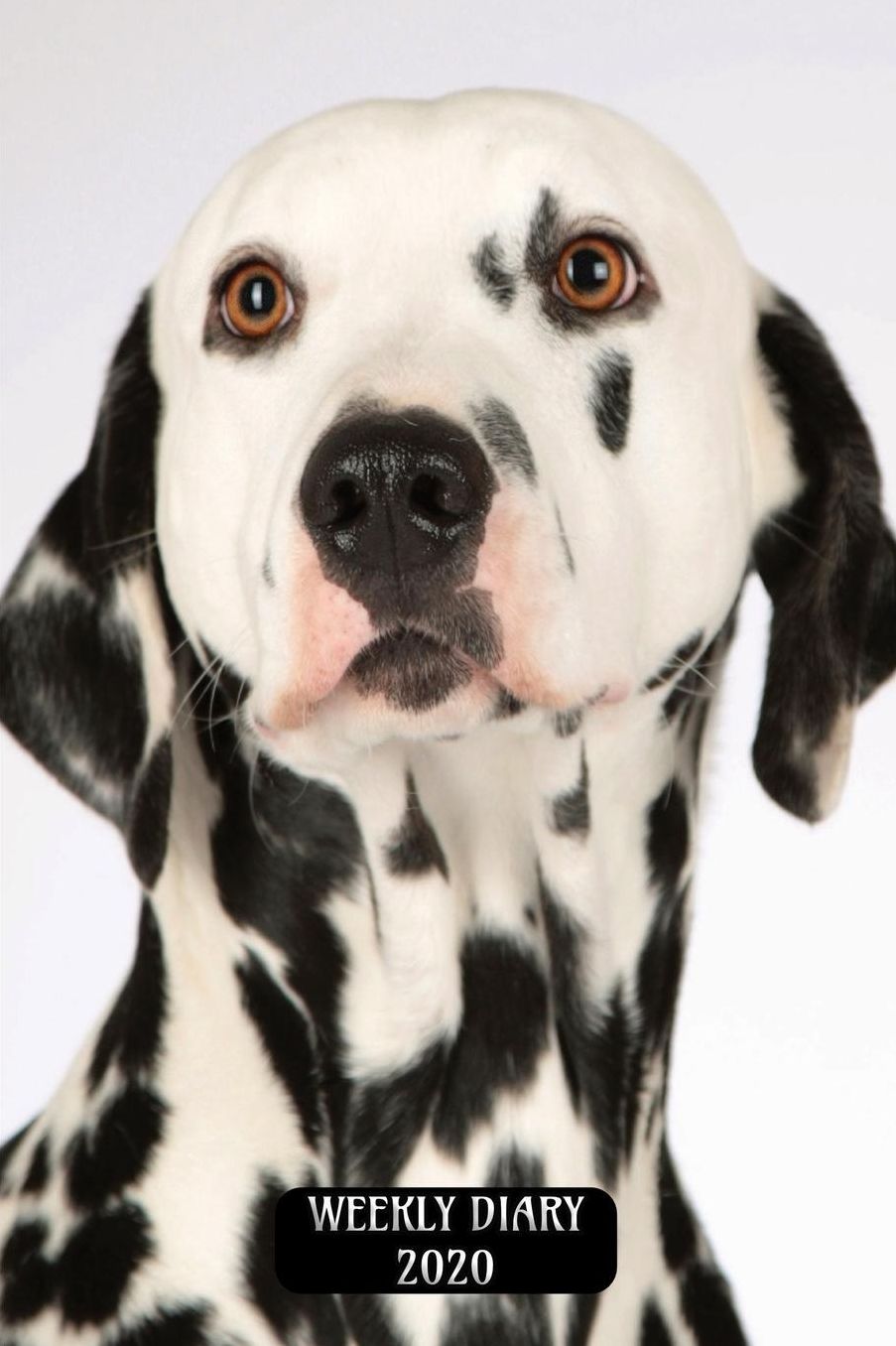 Weekly Diary 2020: Weekly Planner with added extras in the Diary - Dalmation Dog Cover