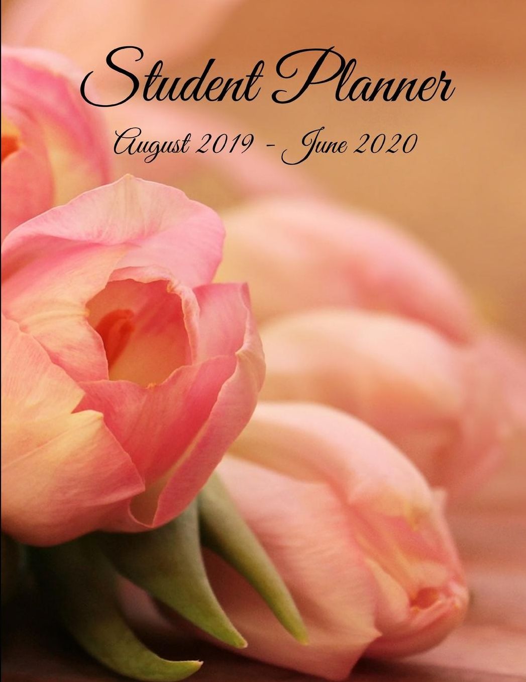 Student Planner August 2019 - June 2020: Floral Pink Academic Agenda Daily Weekly Planner with Assignment Test and Exam Checklist and Reminder To-Do List